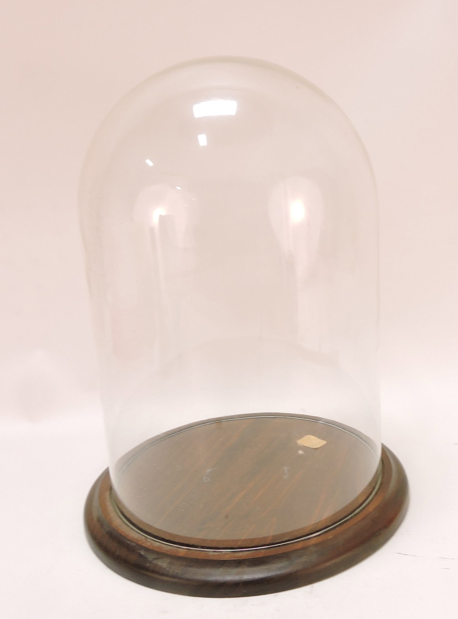 Glass display dome, 12"h, 7 1/2"d (1 of 1)