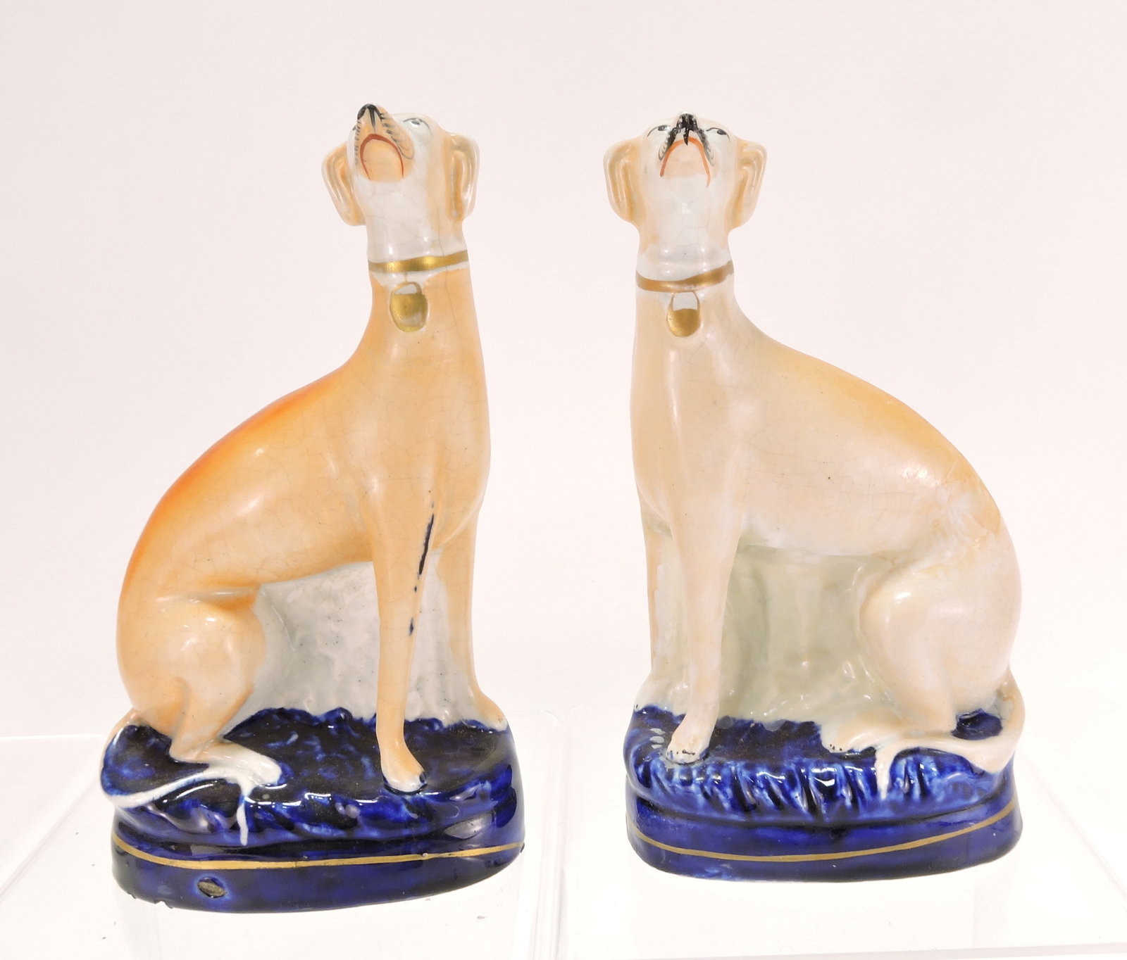 Staffordshire pair of whippet dogs on (1 of 1)