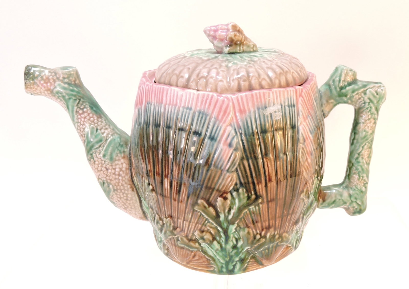 Etruscan majolica shell and seaweed (1 of 1)