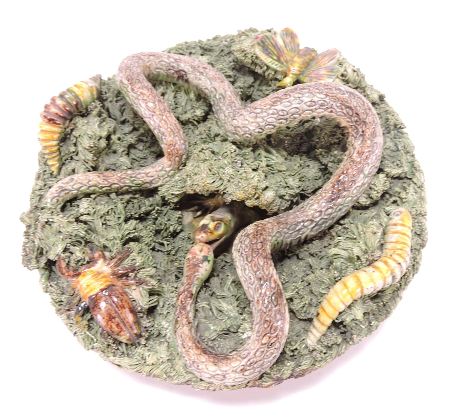 Portugal Palissy majolica wall plaque,: 7", with snake, lizard, beetle, and moth all on a heavy grass ground