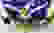 item-31387990=2