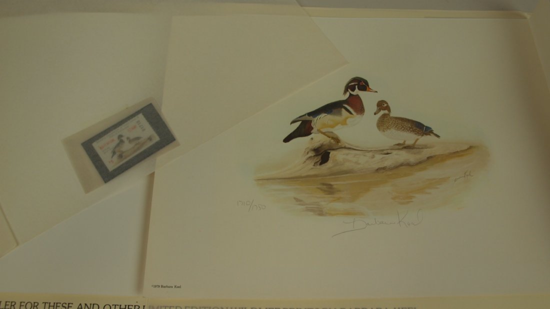 Collection of duck stamps and prints 1979-90 First of: Collection of duck stamps and prints 1979-90 First of States: AL, TN, ND, NH, NC, GA, KY, UT, VT, AZ, ID, KS, WV, VA, LA, RI, OH, CO, Canada, Russia, Australia, and more, collections of 39, most are a