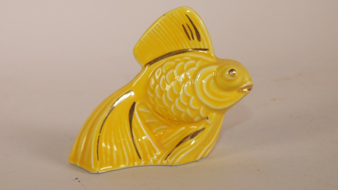 Fiesta Harlequin yellow fish (1 of 1)