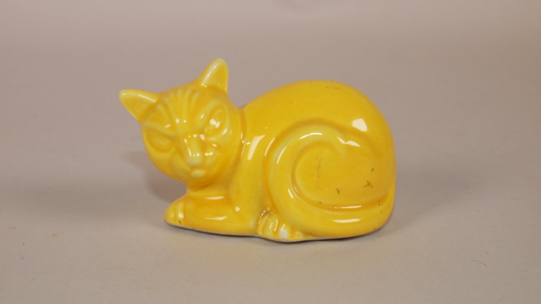 Fiesta Harlequin yellow cat (1 of 1)