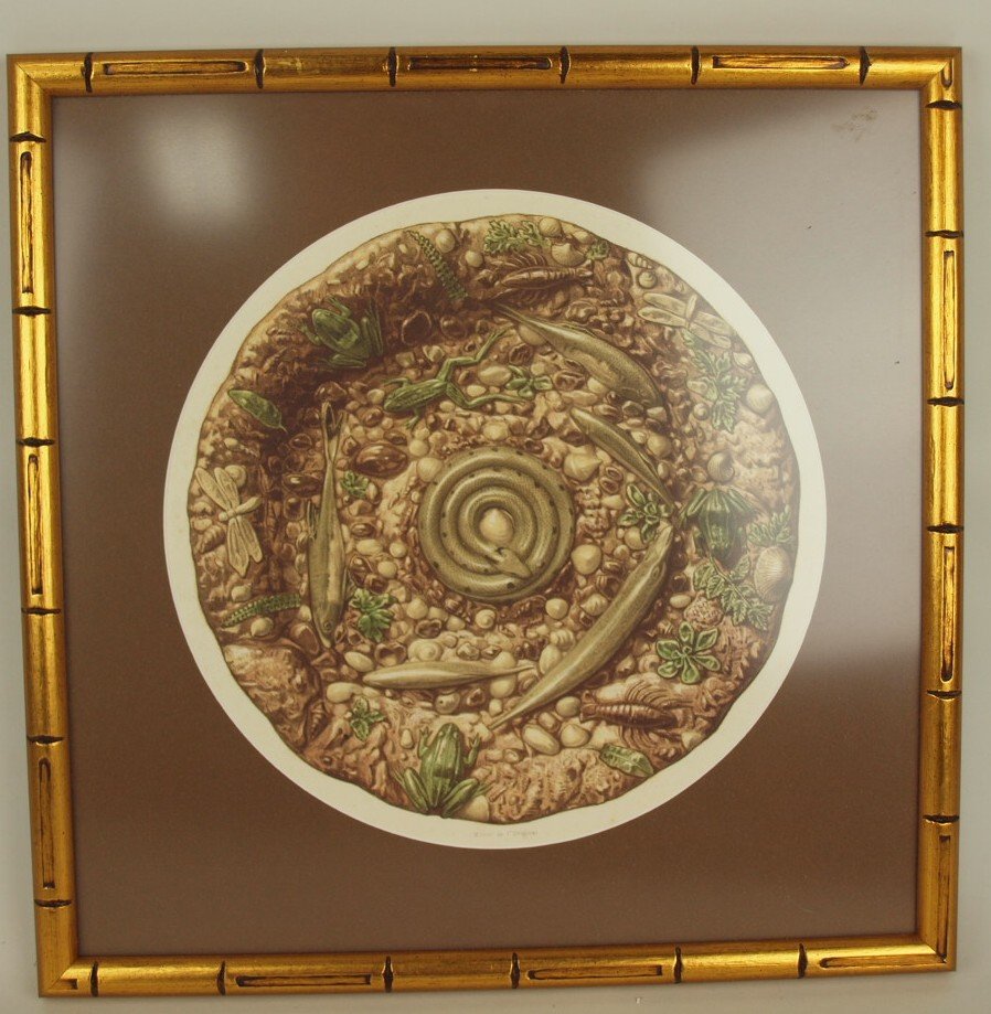 Bernard Palissy style framed print (1 of 1)