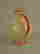 item-45564383=2