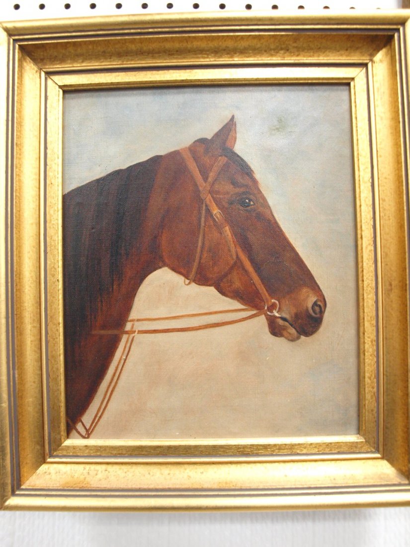 O/C of horse head, 9 1/2" x 11 1/2" (1 of 1)