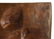 Bruno Zach Signed Vienna bronze for Bergmann, Argentor. - 4