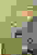 item-74213818=2