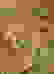 item-74214123=4