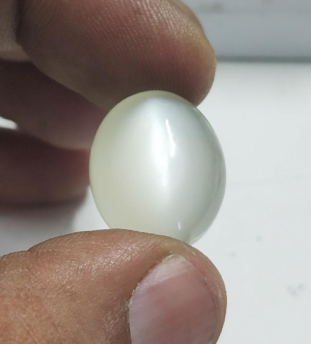 23.31 ct Oval Cabochon Natural Cat's eye Moonstone (1 of 1)