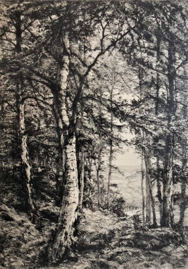 C P Slocombe, Etching, In Summer Woods, Signed (1 of 7)