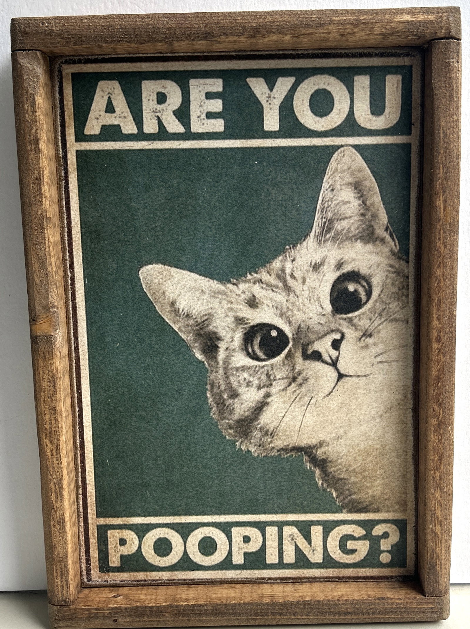 Novelty Printed Wood Bathroom Sign "Are You Pooping?" with Cat Peeking 13.25 in. x 9.25 in.: Novelty Printed Wood Bathroom Sign "Are You Pooping?" with Cat Peeking 13.25 in. x 9.25 in.