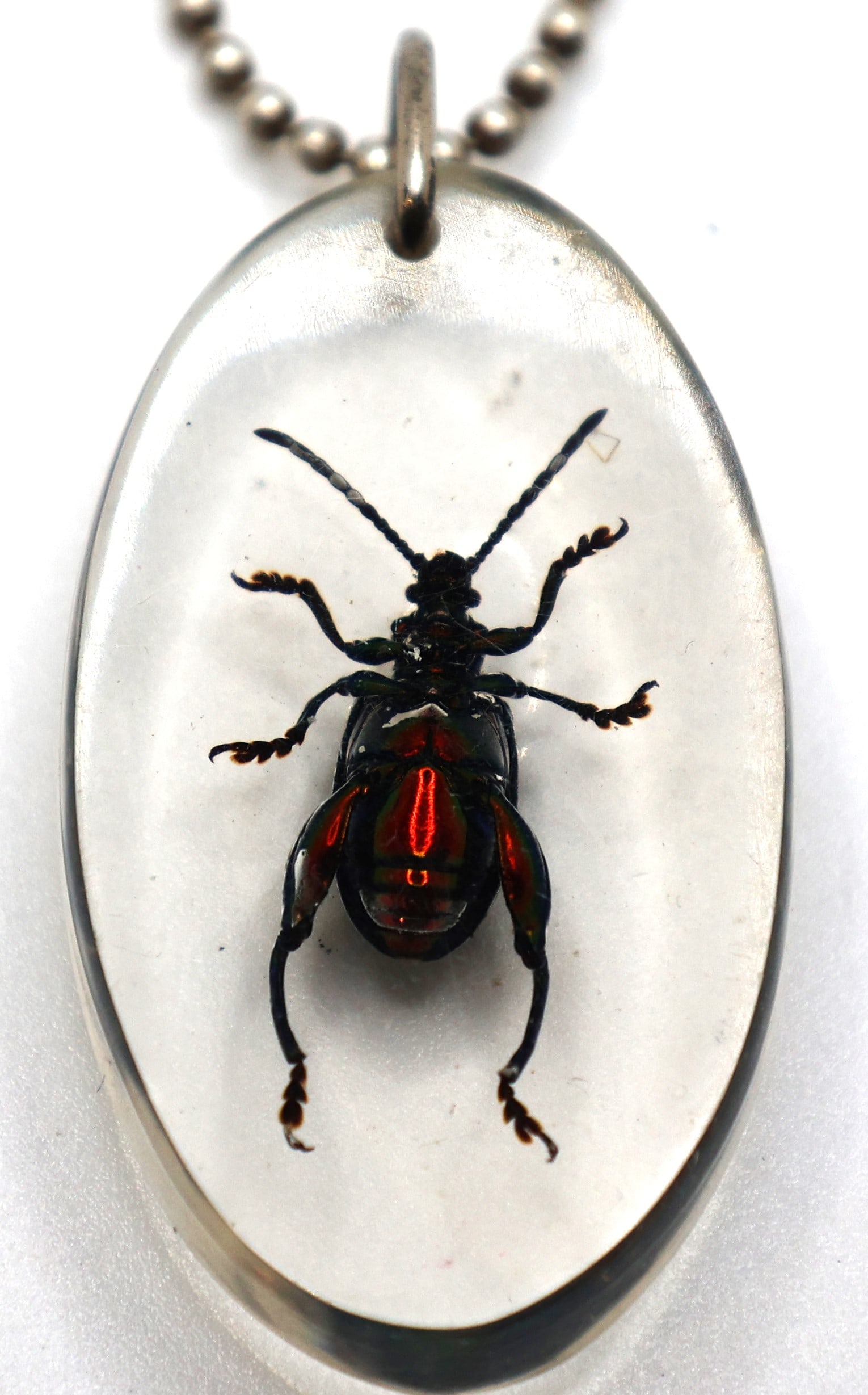 Scarab Encased in Lucite Pendant Necklace on .925 Sterling Silver Italy 16 in. Chain: Scarab Encased in Lucite Pendant 2 in. x 1 in. Necklace on .925 Sterling Silver Italy 16 in. Chain