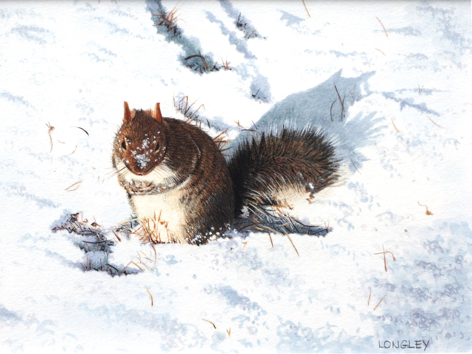 Pat Longley (1925 - 2010 American], Fine Gouache Painting Squirrel Foraging, Orig. $400 Receipt: Pat Longley (1925 - 2010 American], Fine Gouache Painting Squirrel Foraging, Orig. $400 Receipt. Well Listed American Artist. Size: image 3 in. x 4.25 in. ; outer frame 9.5 in. x 10.75 in. ; ASKart: P