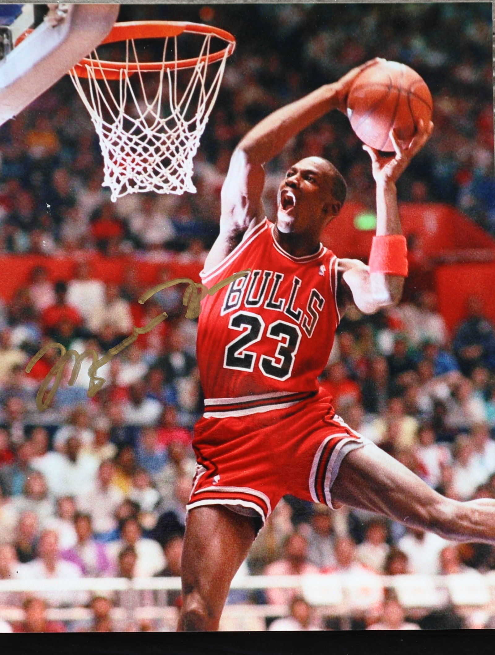 MICHAEL JORDAN Autographed Glossy Photo 10 in. x 8 in.: MICHAEL JORDAN Autographed Glossy Photo 10 in. x 8 in.