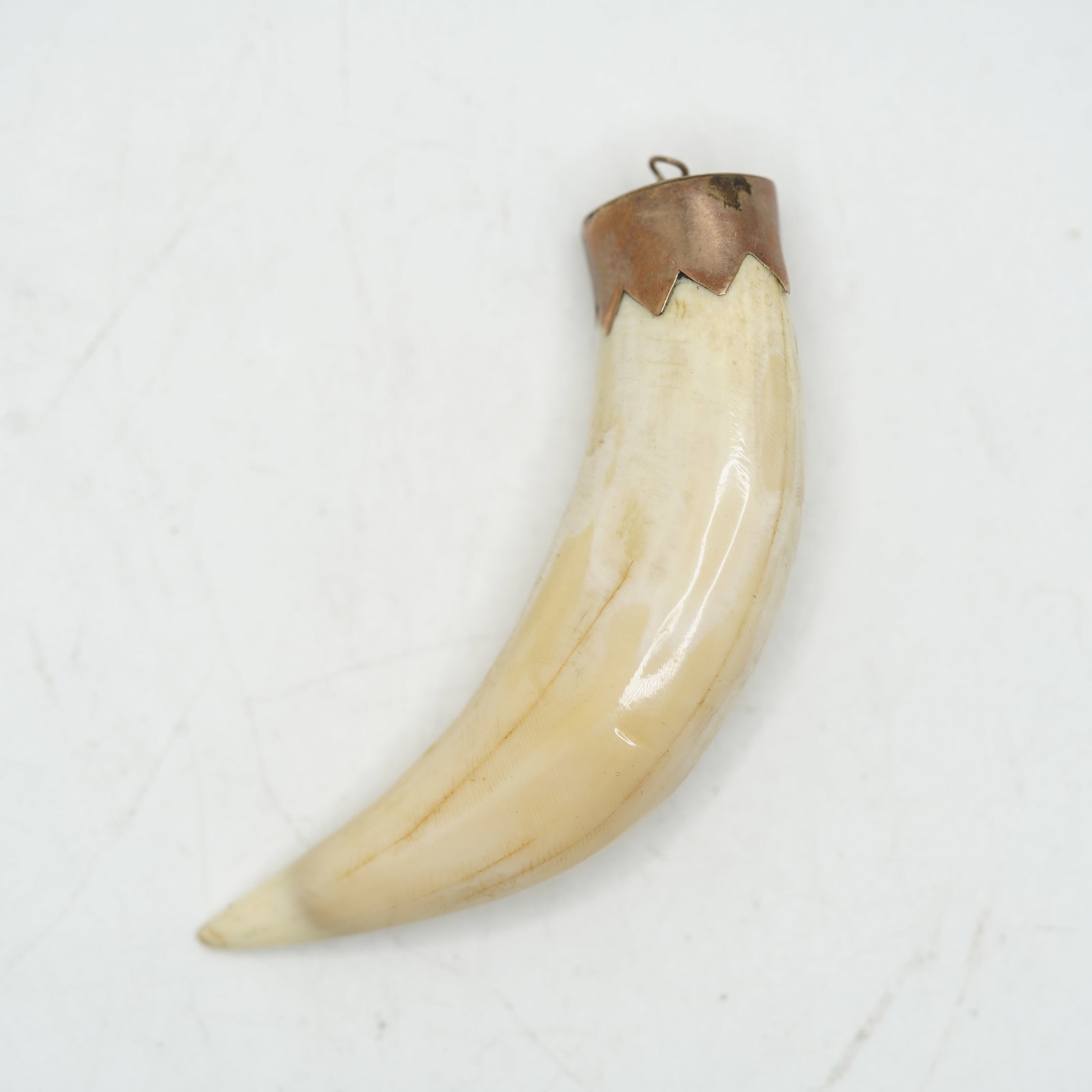 9K Gold Bone Claw Pendant, 13.7 DWT, 2 1/2 in. x 1 1/4 in. x 3/4 in.: 9K Gold Bone Claw Pendant, 13.7 DWT, 2 1/2 in. x 1 1/4 in. x 3/4 in.