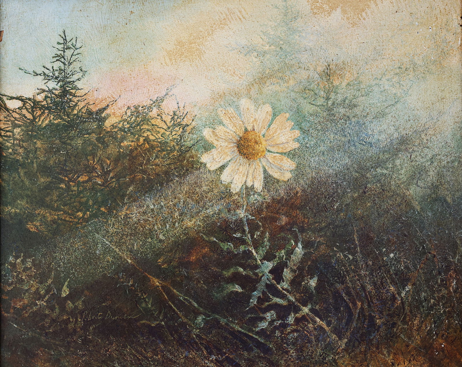 Robert Duncan, Born 1952 Salt Lake City, Utah, Oil on Board Landscape with Wild Daisy Flower: Robert Duncan, Born 1952 Salt Lake City, Utah, Oil on Board Painting Landscape with Wild Daisy Flower; Size: image 20 inches x 24 inches; outer frame 25 inches x 28.5 inches ; Biography from the Archi