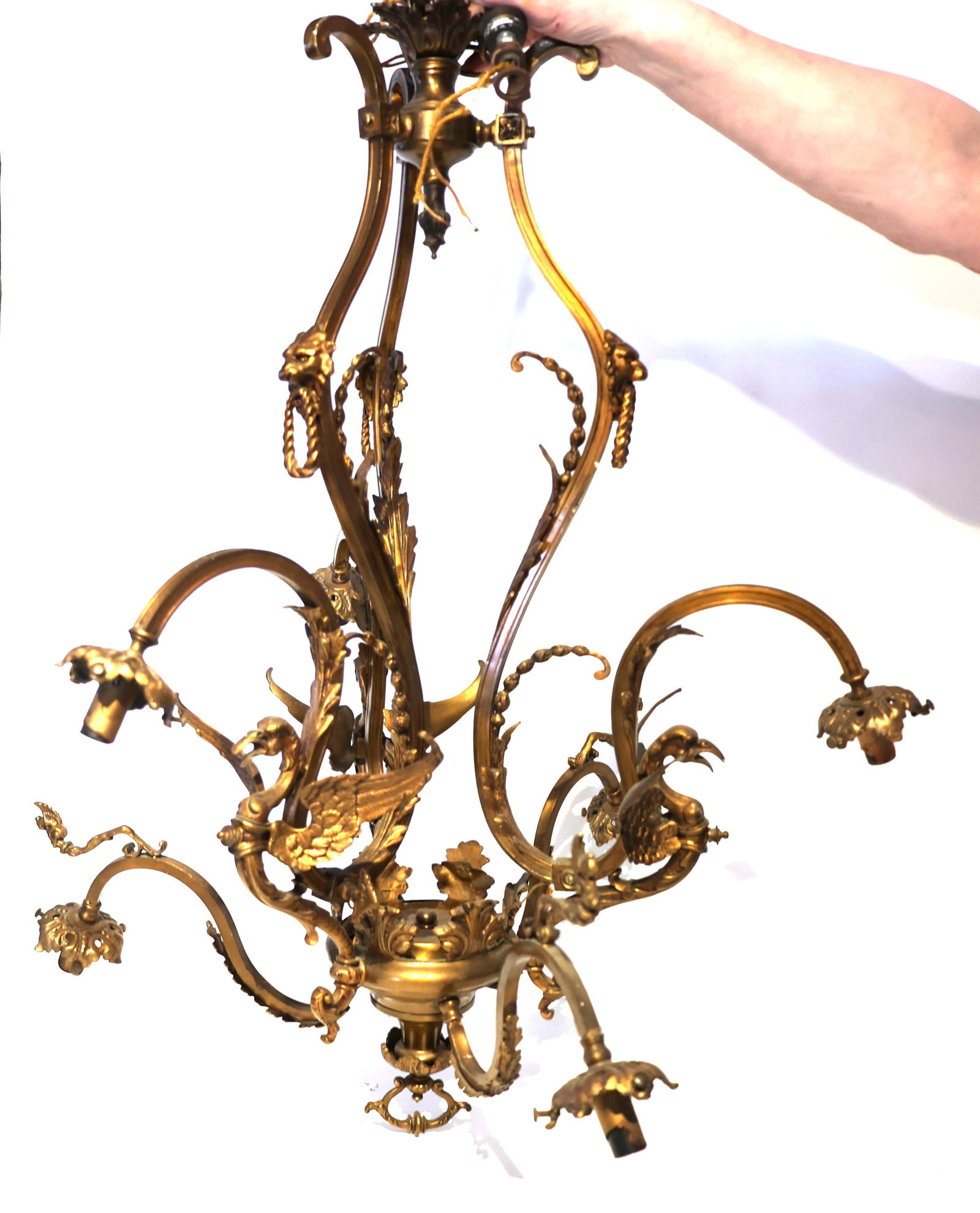 19th C. Bronze 6-Lite Chandelier with 3 Winged Griffin Figures 31 inches length, 24 in. diameteer (1 of 8)