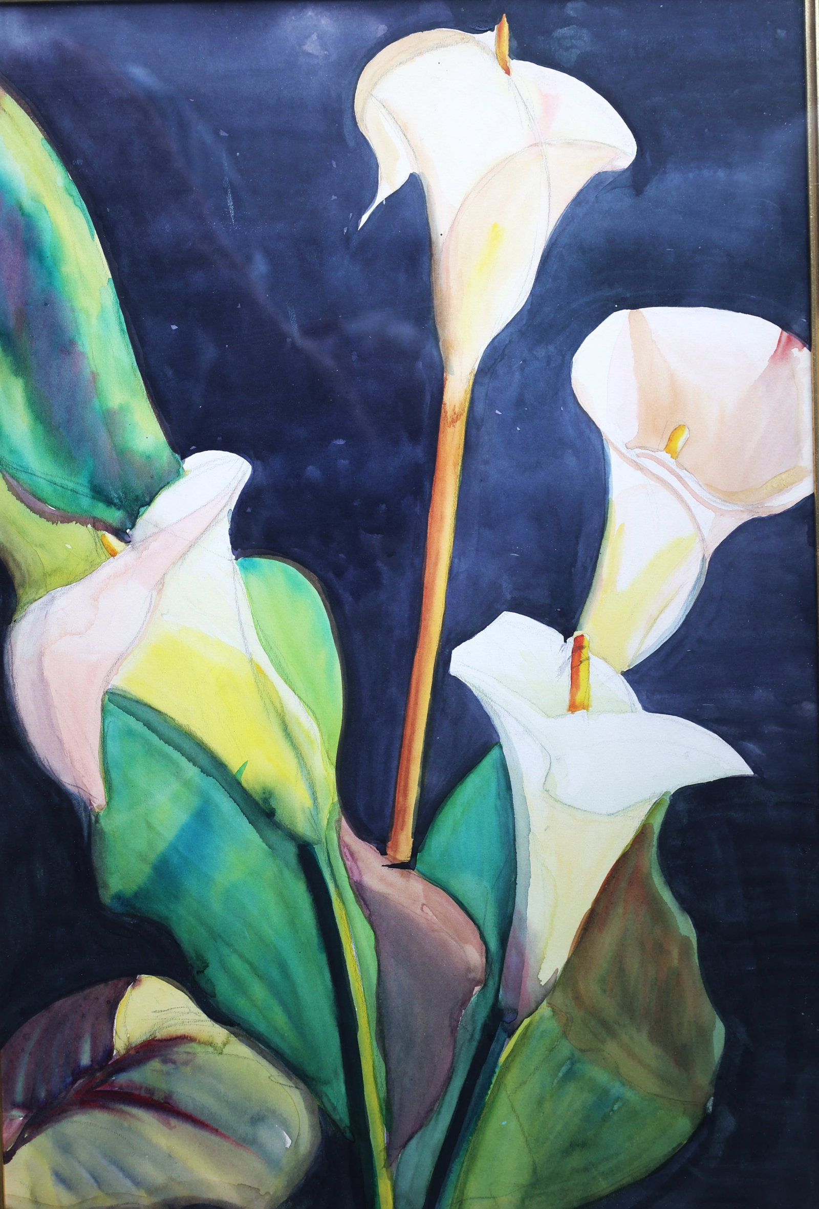 Watercolor painting depicting white Calla lilies against a dark background, framed (1 of 4)