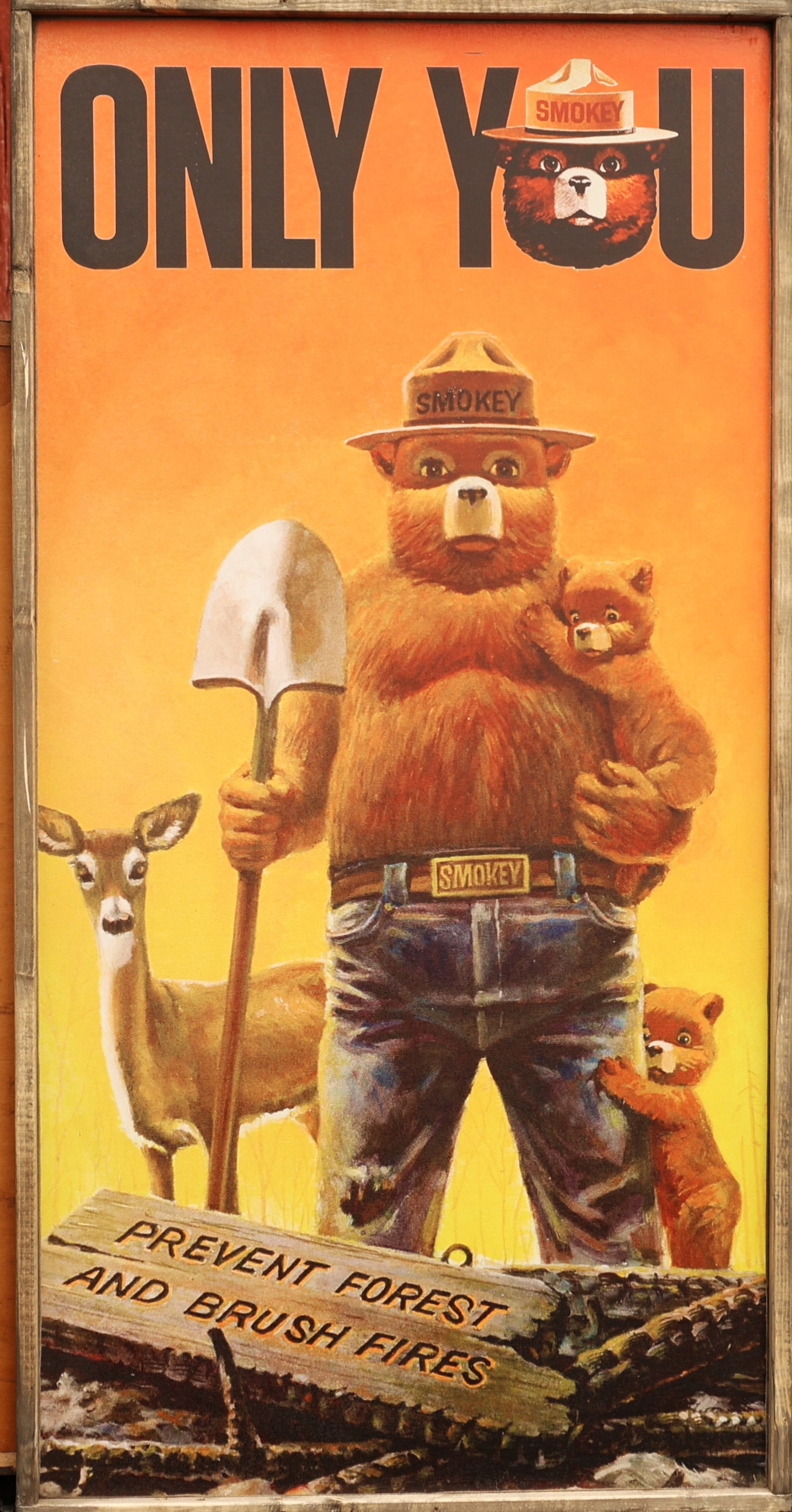 Large Wood Sign "Only You" Smokey Bear, Prevent Forest and Brush Fires (1 of 6)
