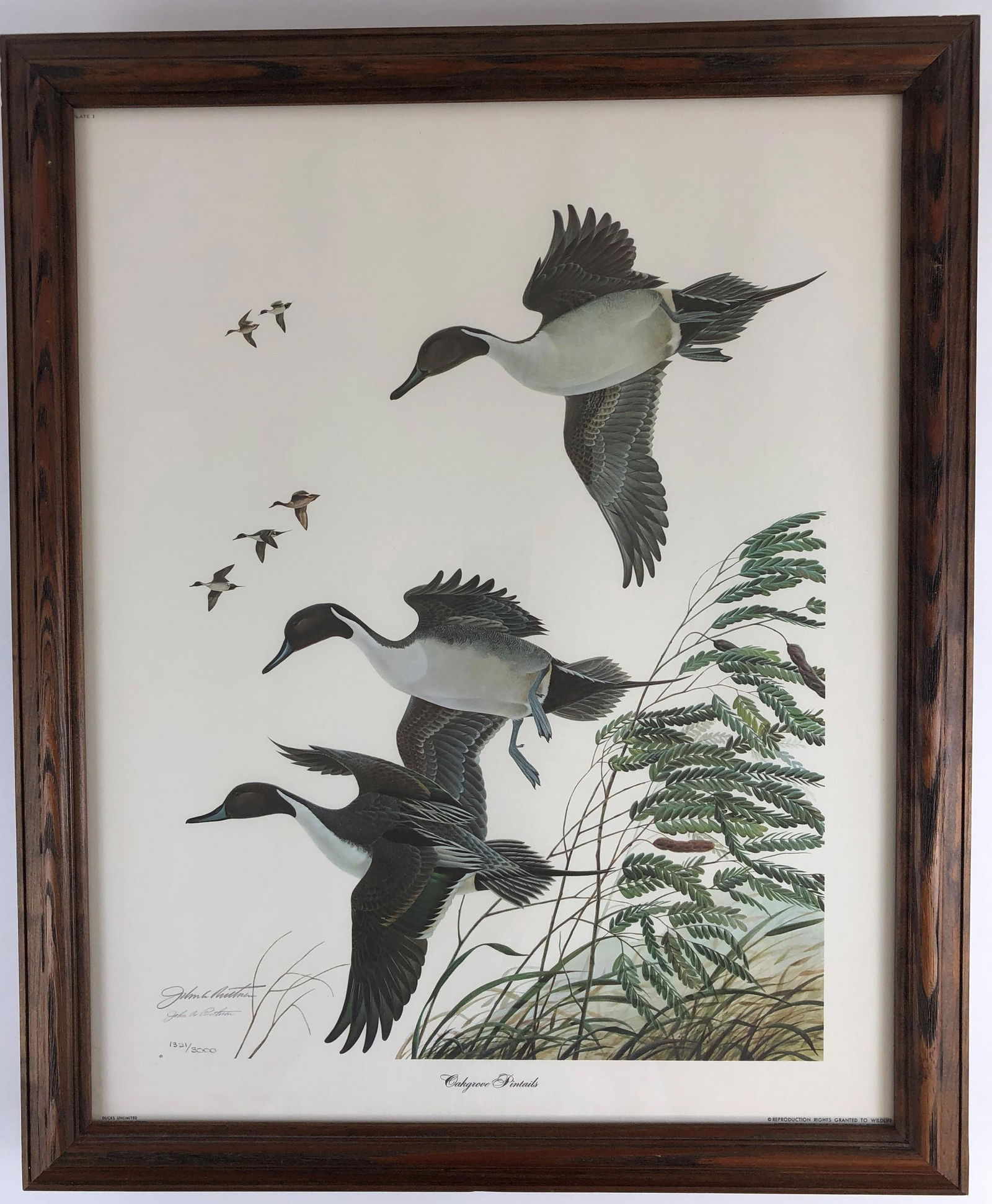 Two Signed John Ruthven Prints Oct 27, 2019 Caza Sikes in OH