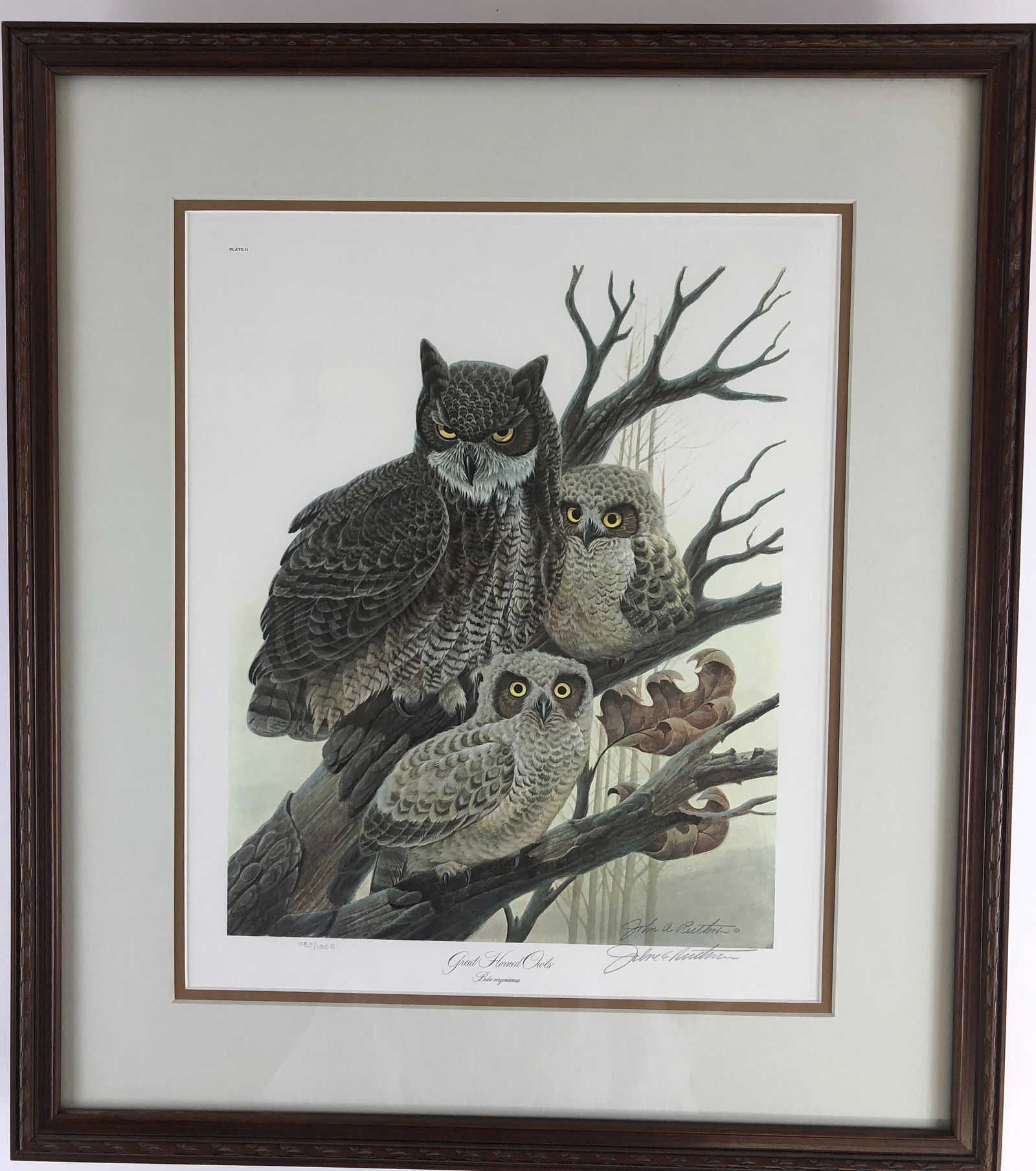 Two Signed John Ruthven Prints Oct 27, 2019 Caza Sikes in OH