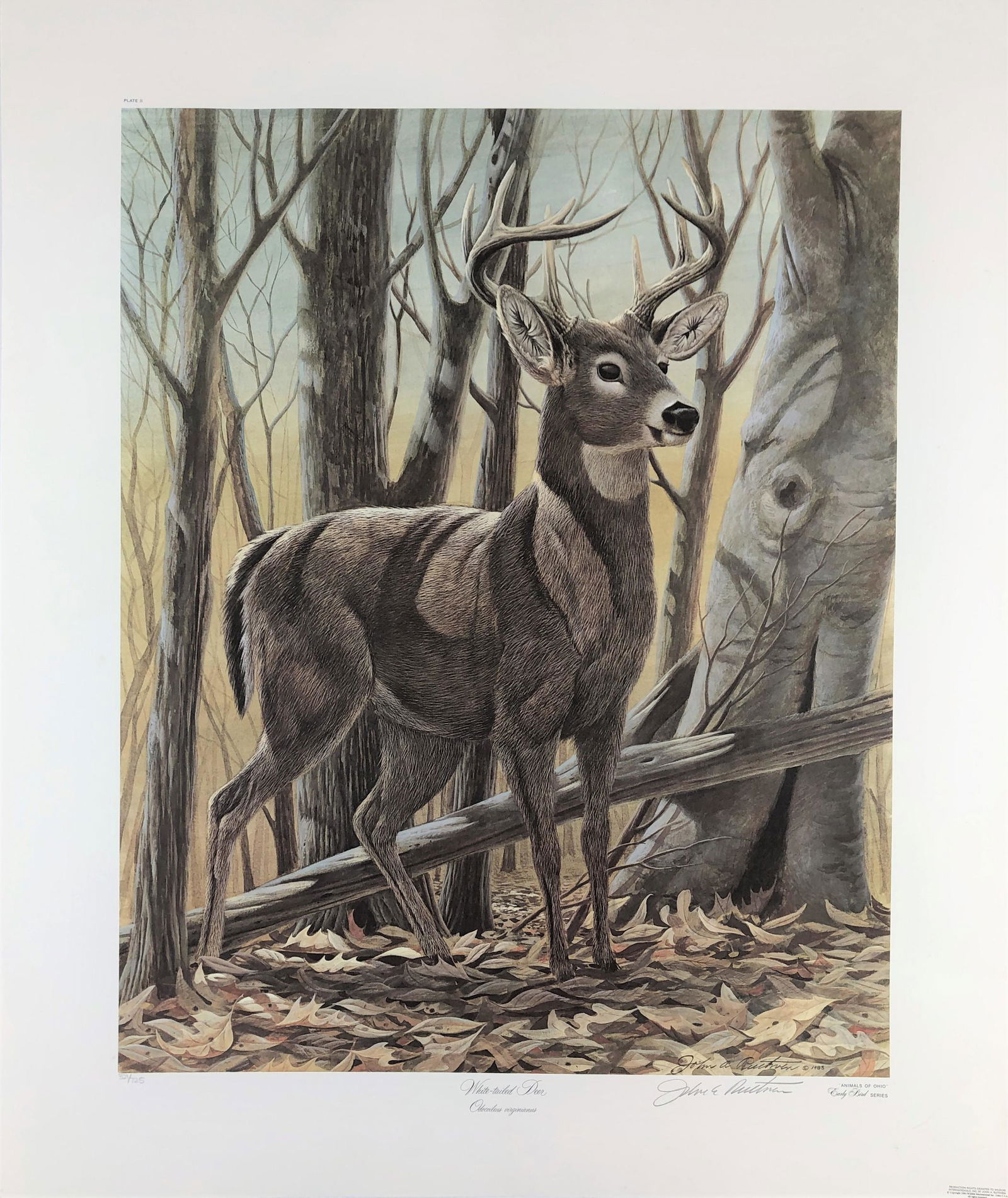 Two Signed John Ruthven Prints Oct 27, 2019 Caza Sikes in OH