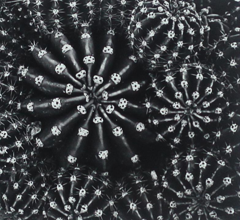 J. Barry Thompson (b. 1948), Untitled (1 of 2)