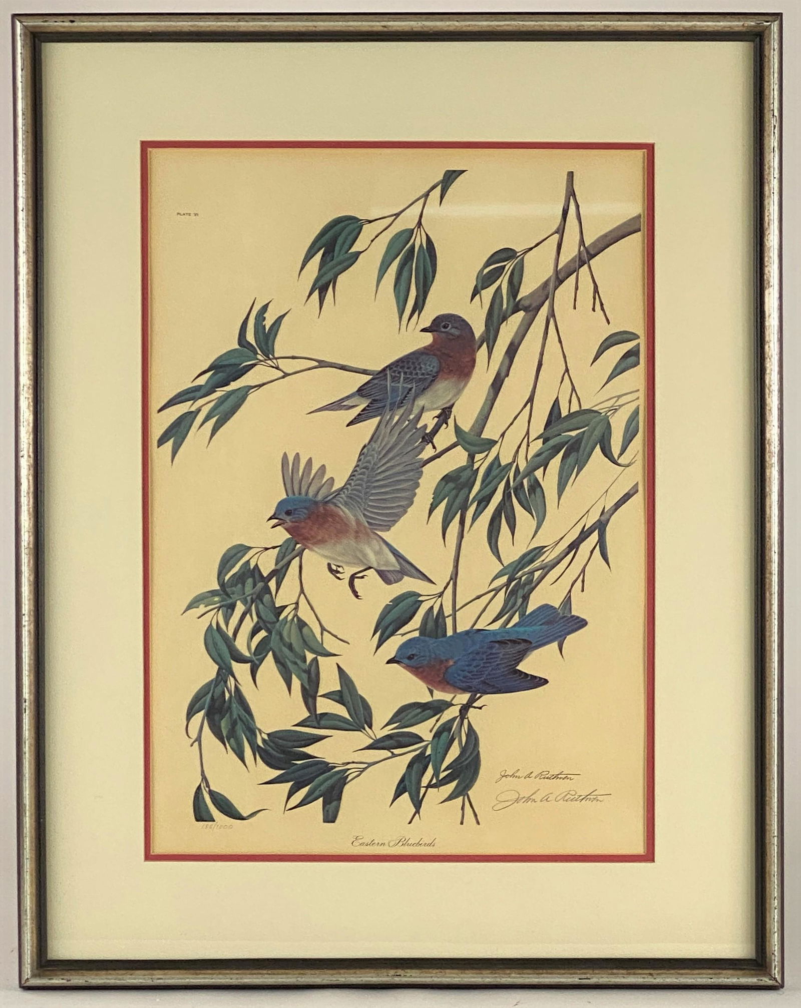 John Ruthven (American, b. 1924), "Eastern Bluebirds" (1 of 3)