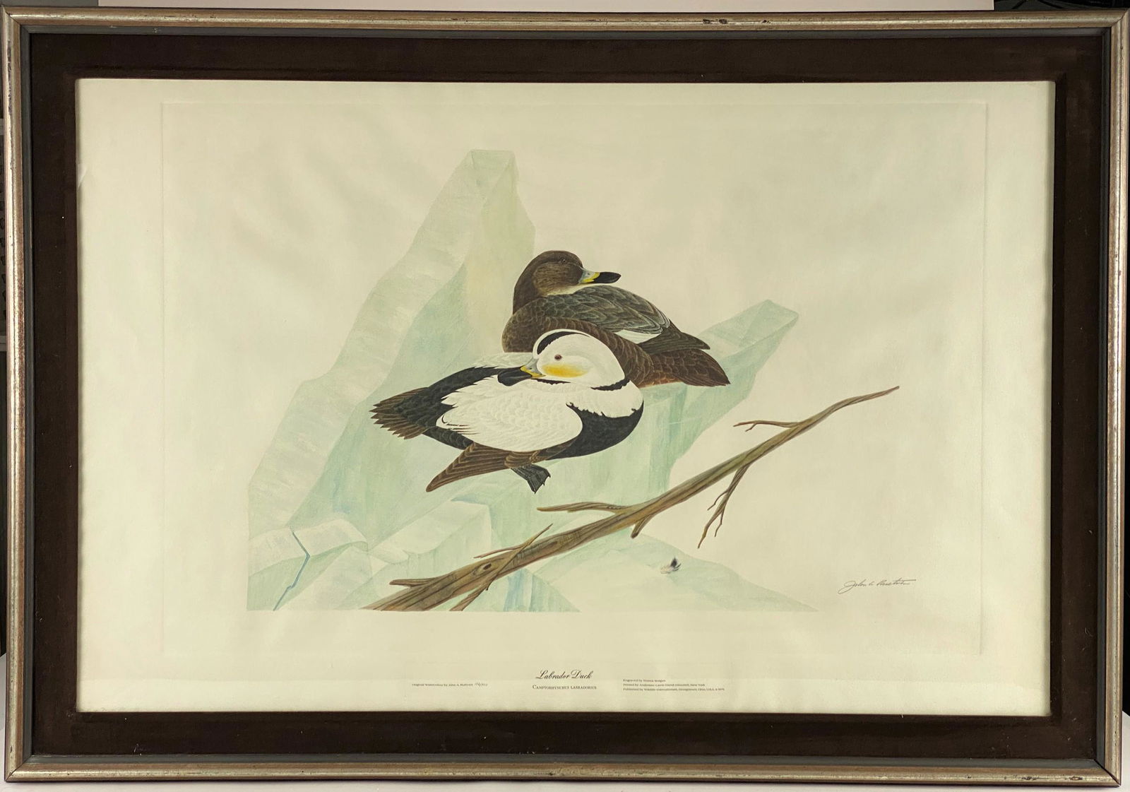 John Ruthven (American, b. 1924), "Labrador Duck" (1 of 4)