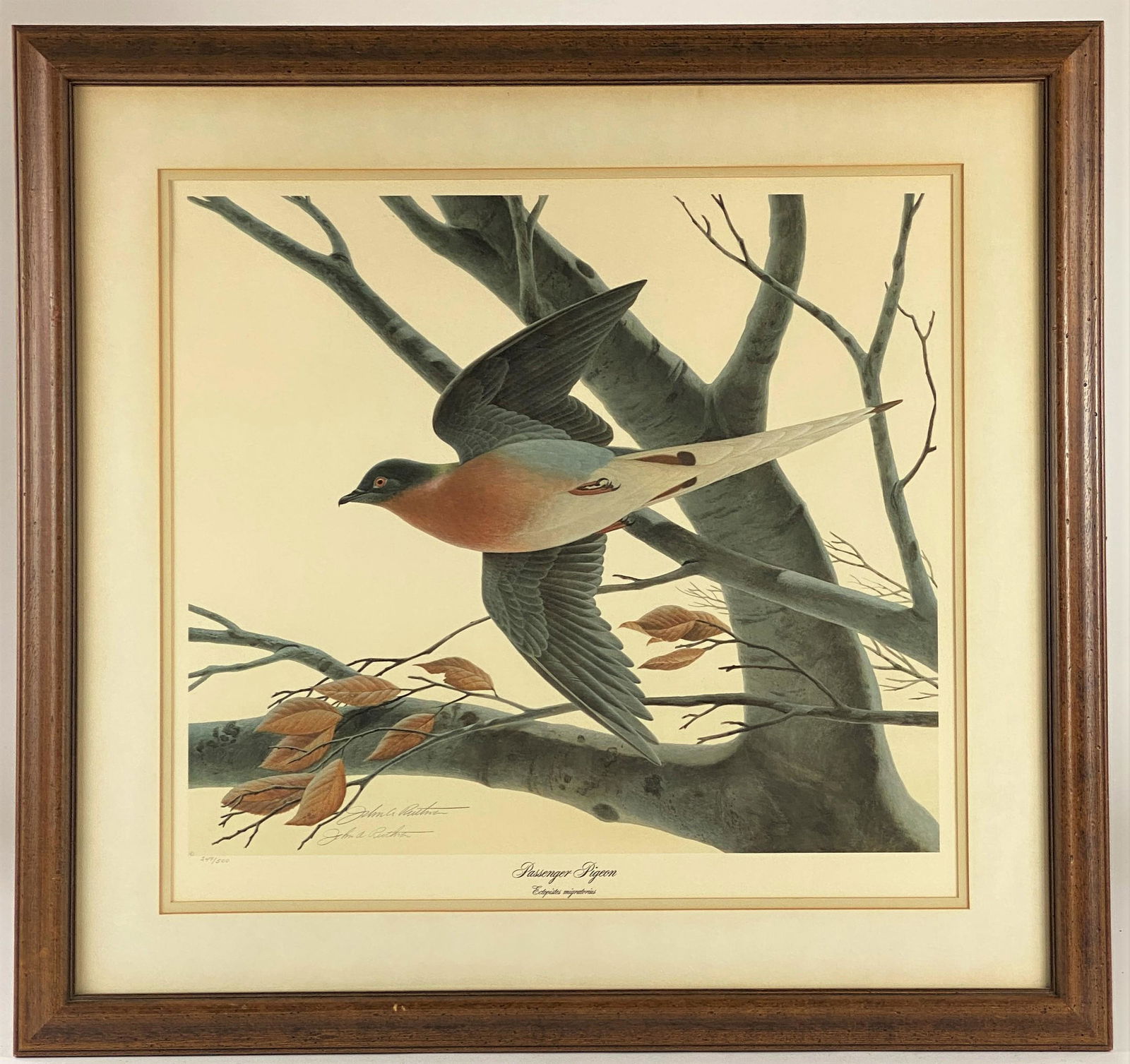 John Ruthven (American, b. 1924), Wildlife Print (1 of 4)