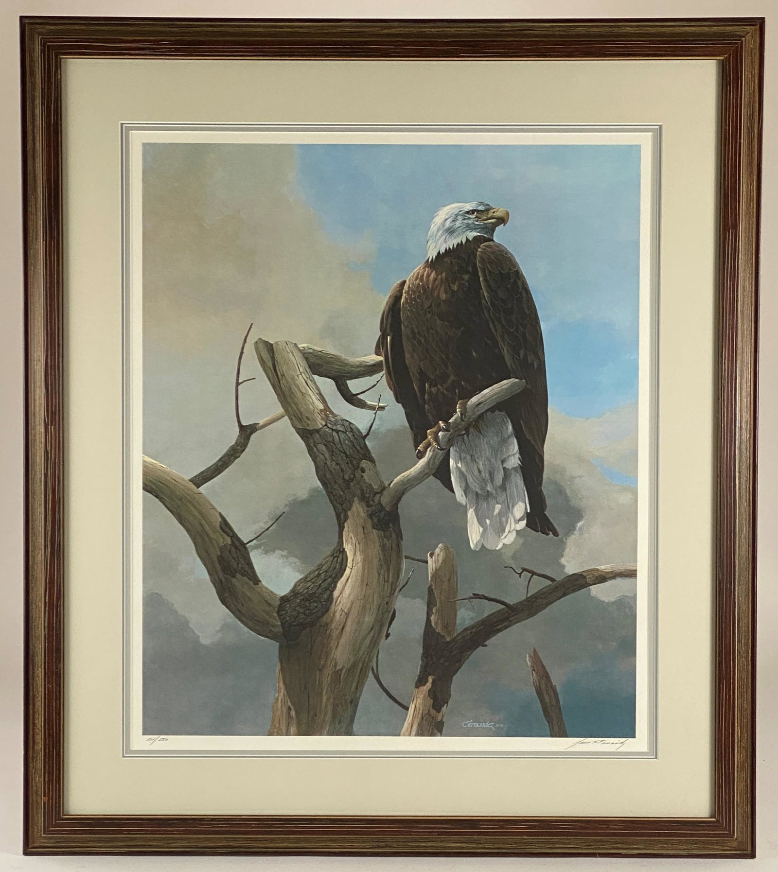 Fernandez WIldlife Print: Offset lithograph on paper, signed l.r. margin and numbered 121/580; 24" x 20" (sight), 34.5" x 30.5" (framed).