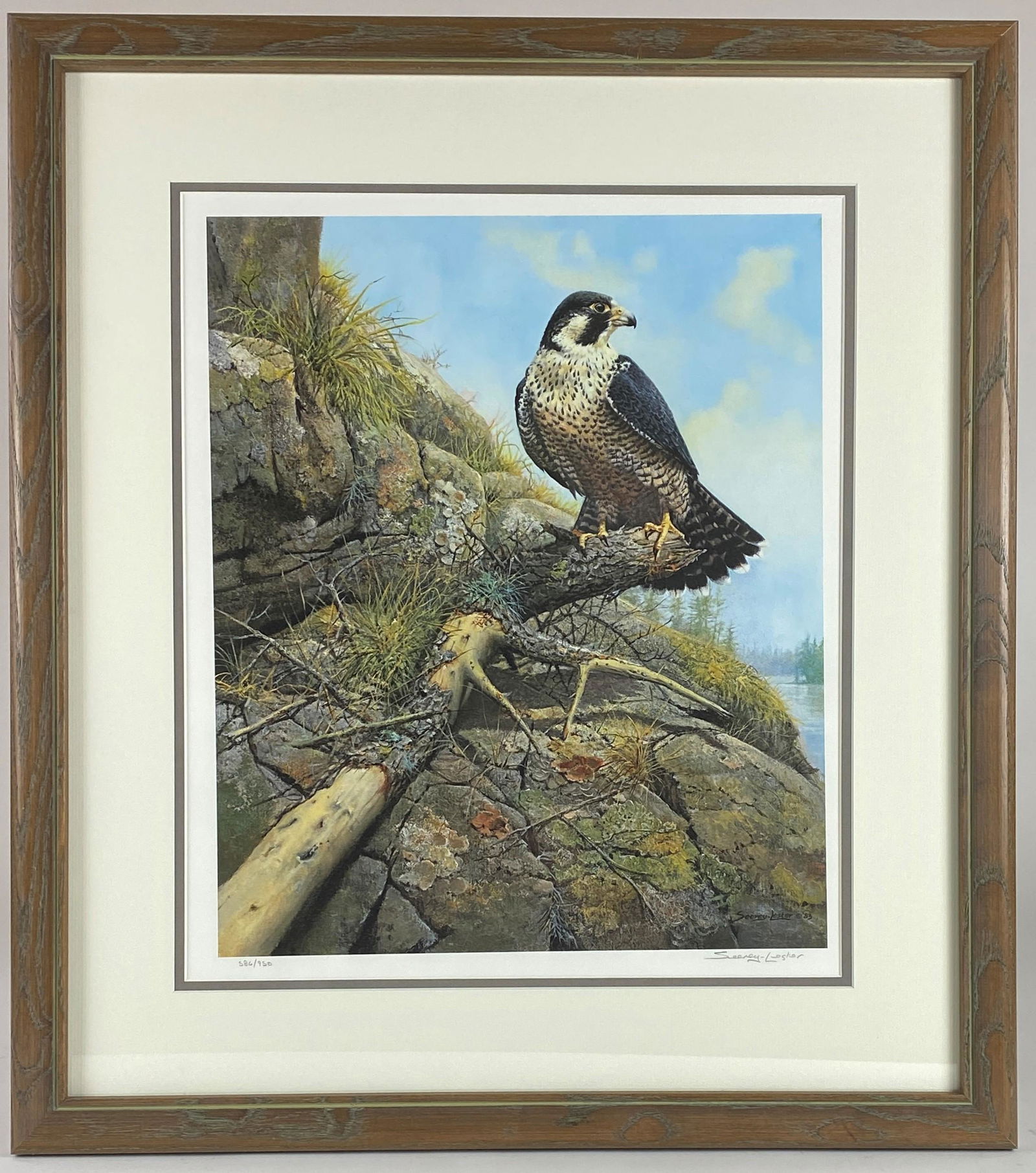 John Seerey-Lester (American, 20th Century), Wildlife (1 of 3)