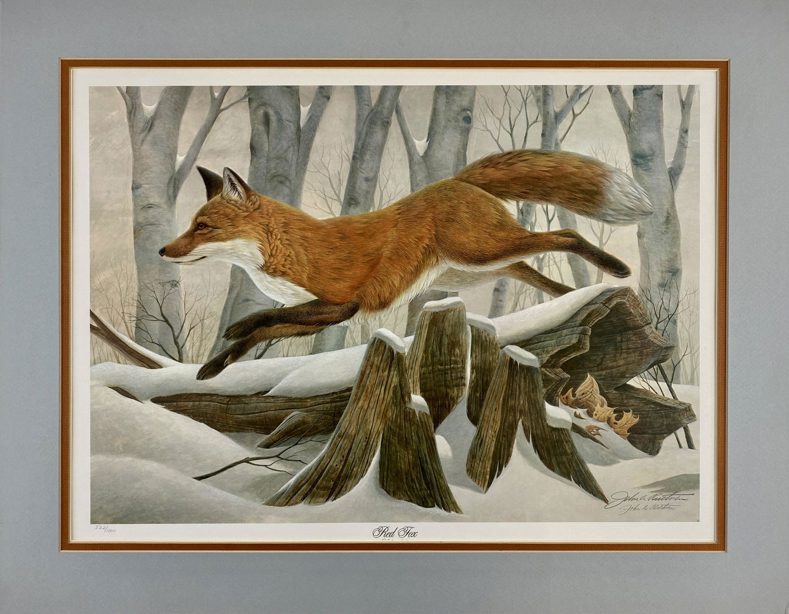"Red Fox" by John Ruthven: John Ruthven (American/Cincinnati, b. 1927). An offset lithograph on paper, signed, numbered and titled in margin; 15" ht. x 21" wd. (plate size). Matted.