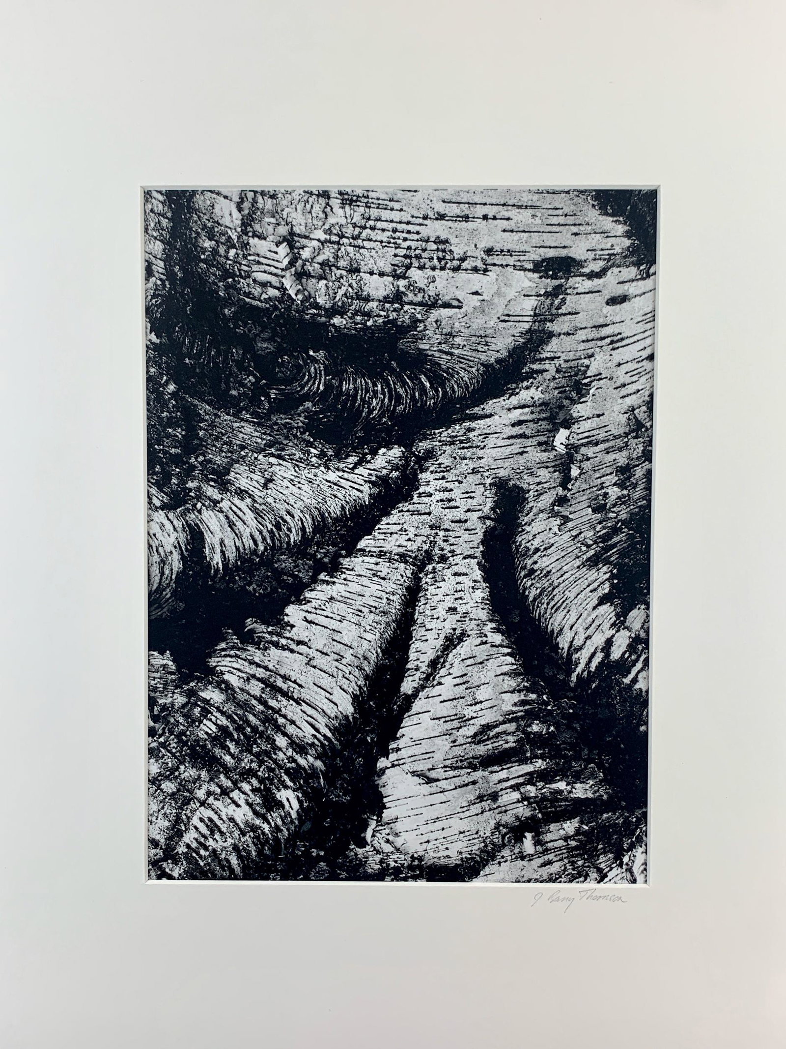 J. Barry Thompson (American, b. 1948), Photograph: A silver gelatin photograph, mounted to backing, depicting a canyon view from above, signed l.r. backing; 11.5" x 9" (sight), 20" x 16" (stock).