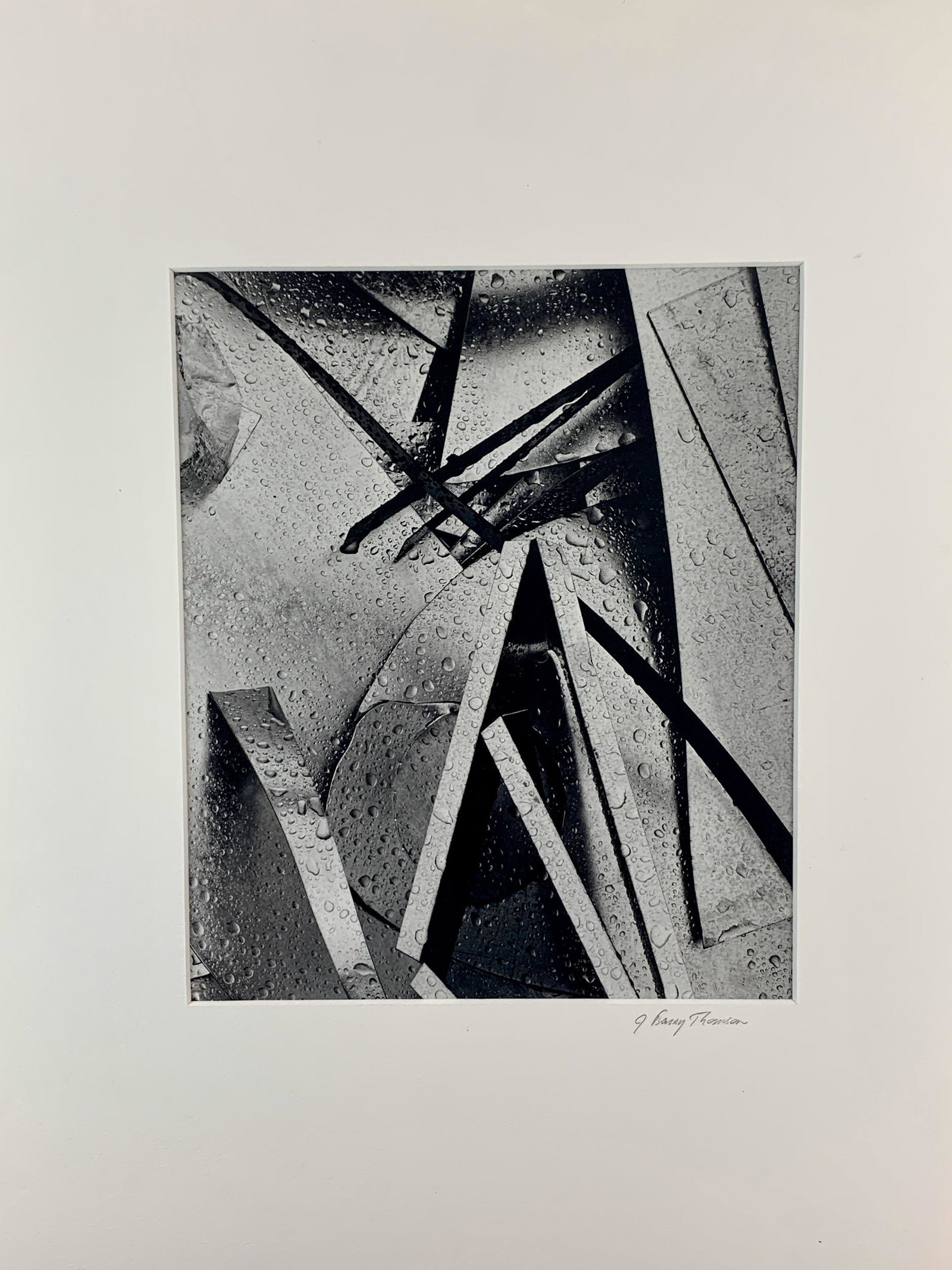 J. Barry Thompson (American, b. 1948), Photograph: A silver gelatin photograph, mounted to backing, depicting leaves with dew, signed l.r. backing; 11.5" x 9" (sight), 20" x 16" (stock).