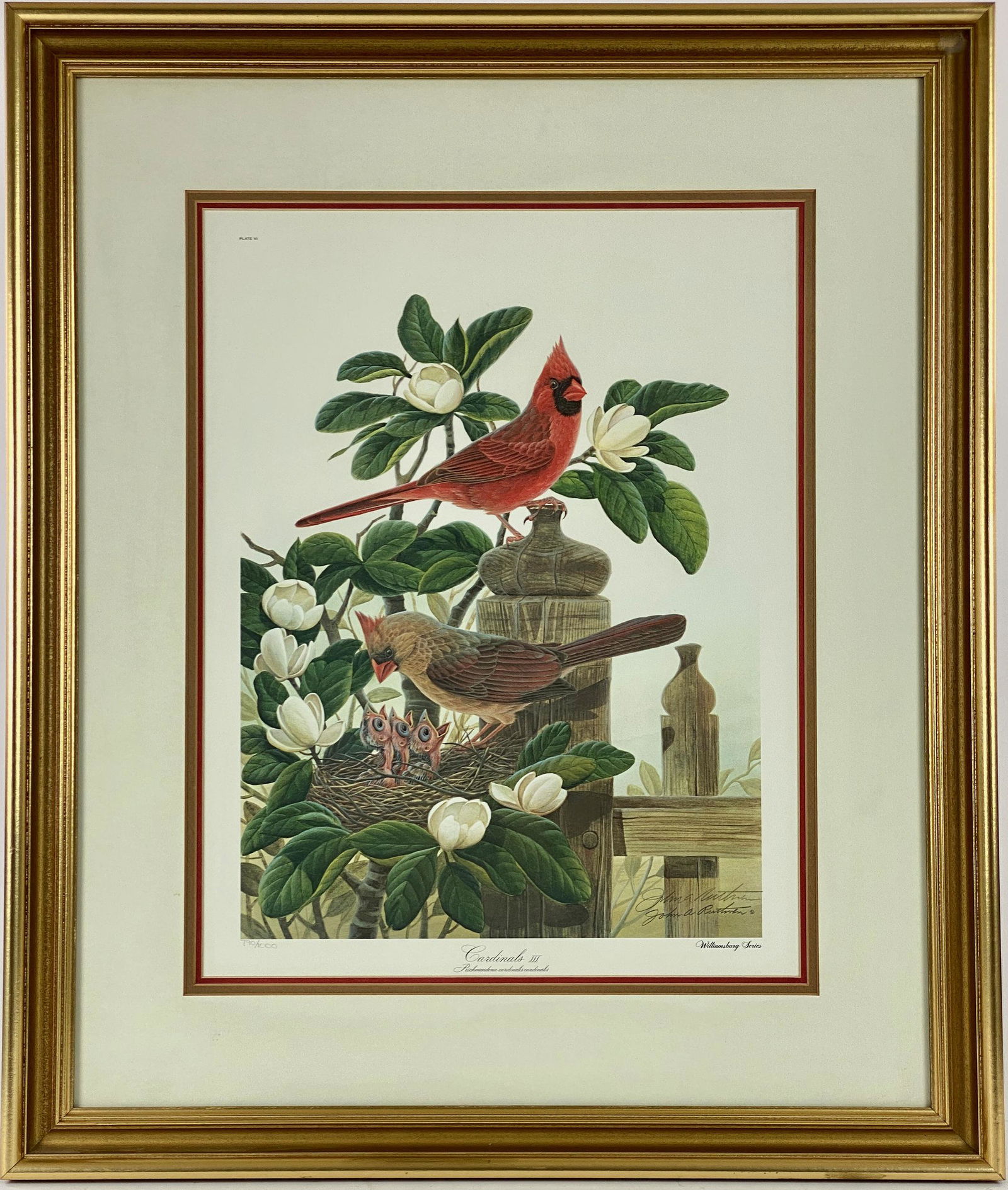 Pair of John Ruthven "Cardinal" Lithographs: Including "Cardinal" and "Cardinals III" offset lithographs by the late wildlife painter, each signed in graphite, titled and numbered near lower margin; largest 28" x 24" (framed).