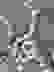 item-99966830=6
