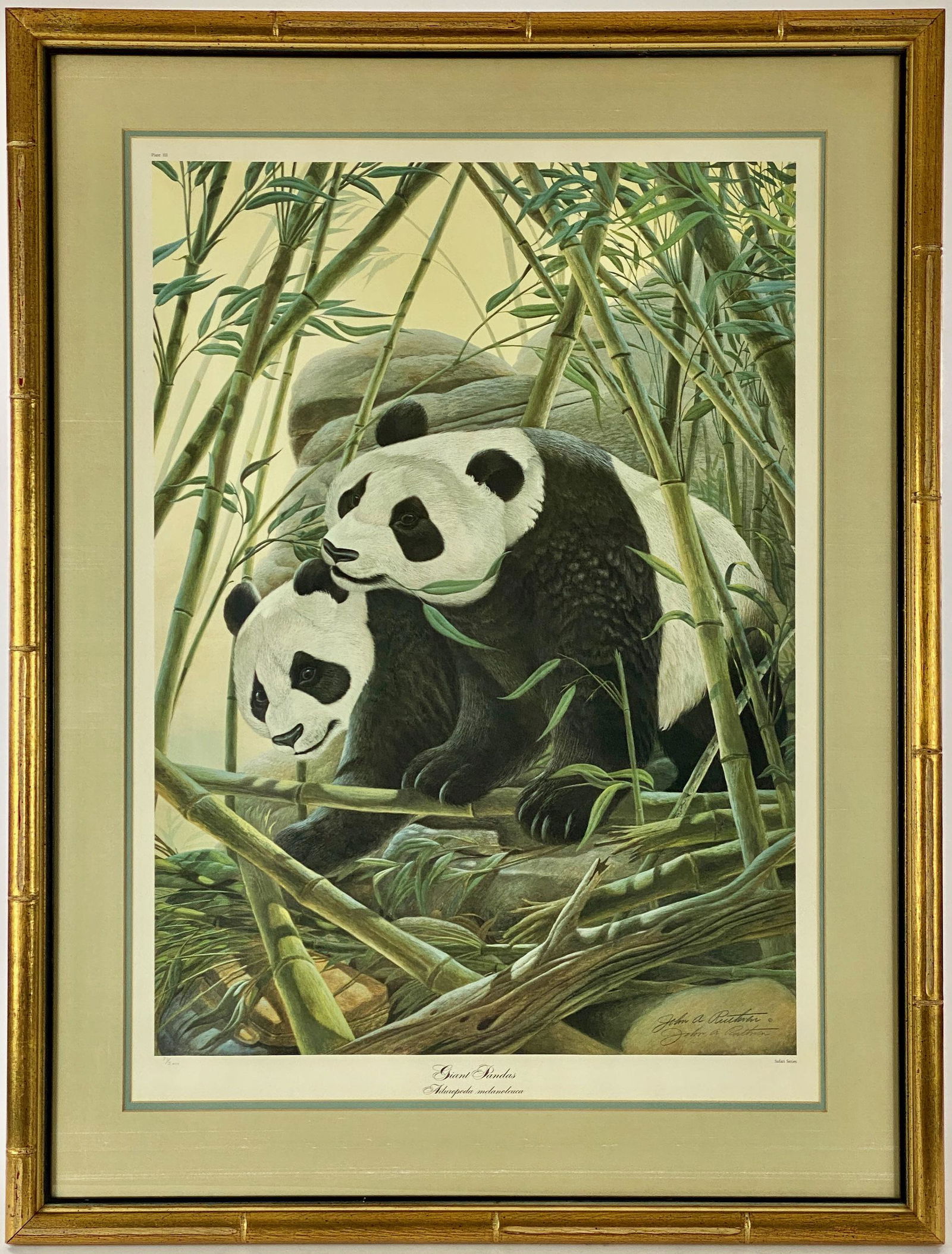 John Ruthven, "Giant Panda's" Colored Lithograph (1 of 8)