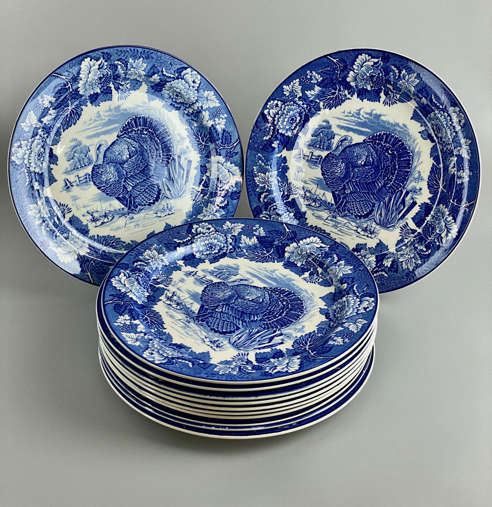 12 Flow Blue Wood's Burslem Plates and Spode Platter (1 of 8)