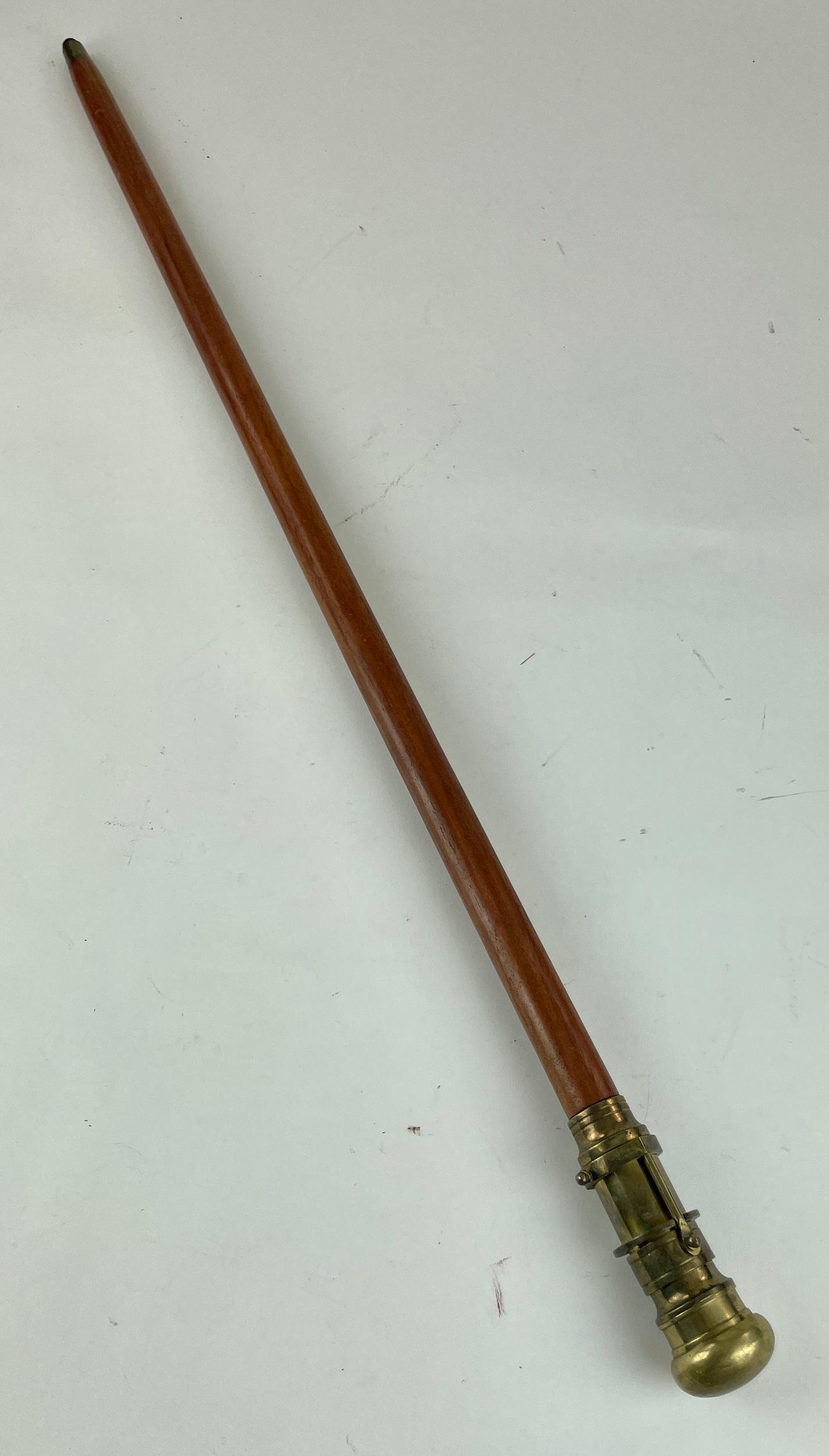 Surveyor's Cane (1 of 6)