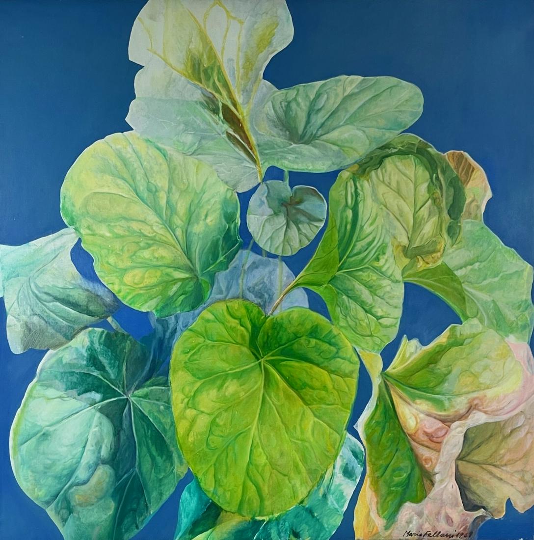 Still Life by Mario Fallani, 1969 (1 of 5)