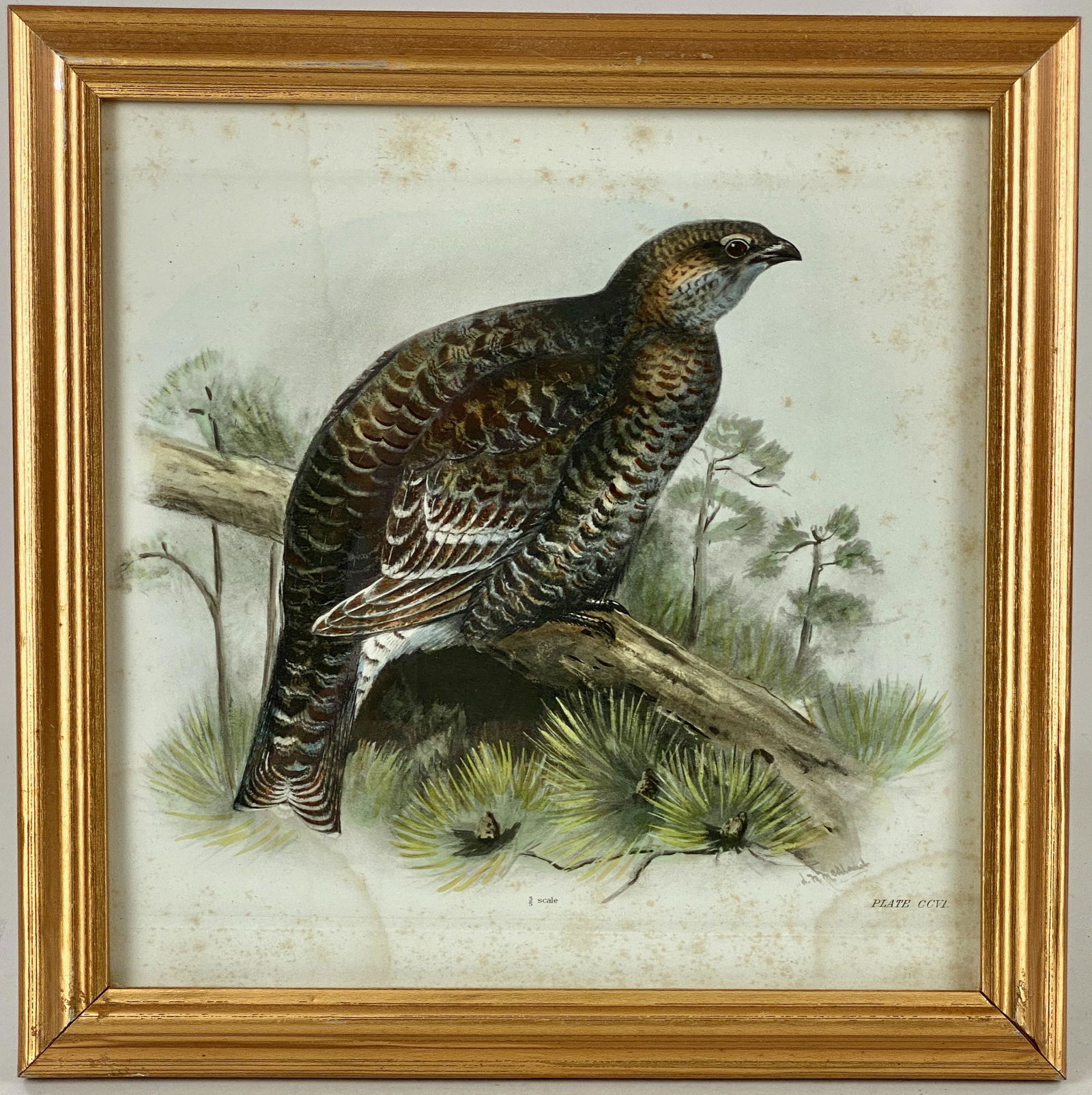 Pair of Lithograph & Watercolors by Lilian Medland (1 of 3)