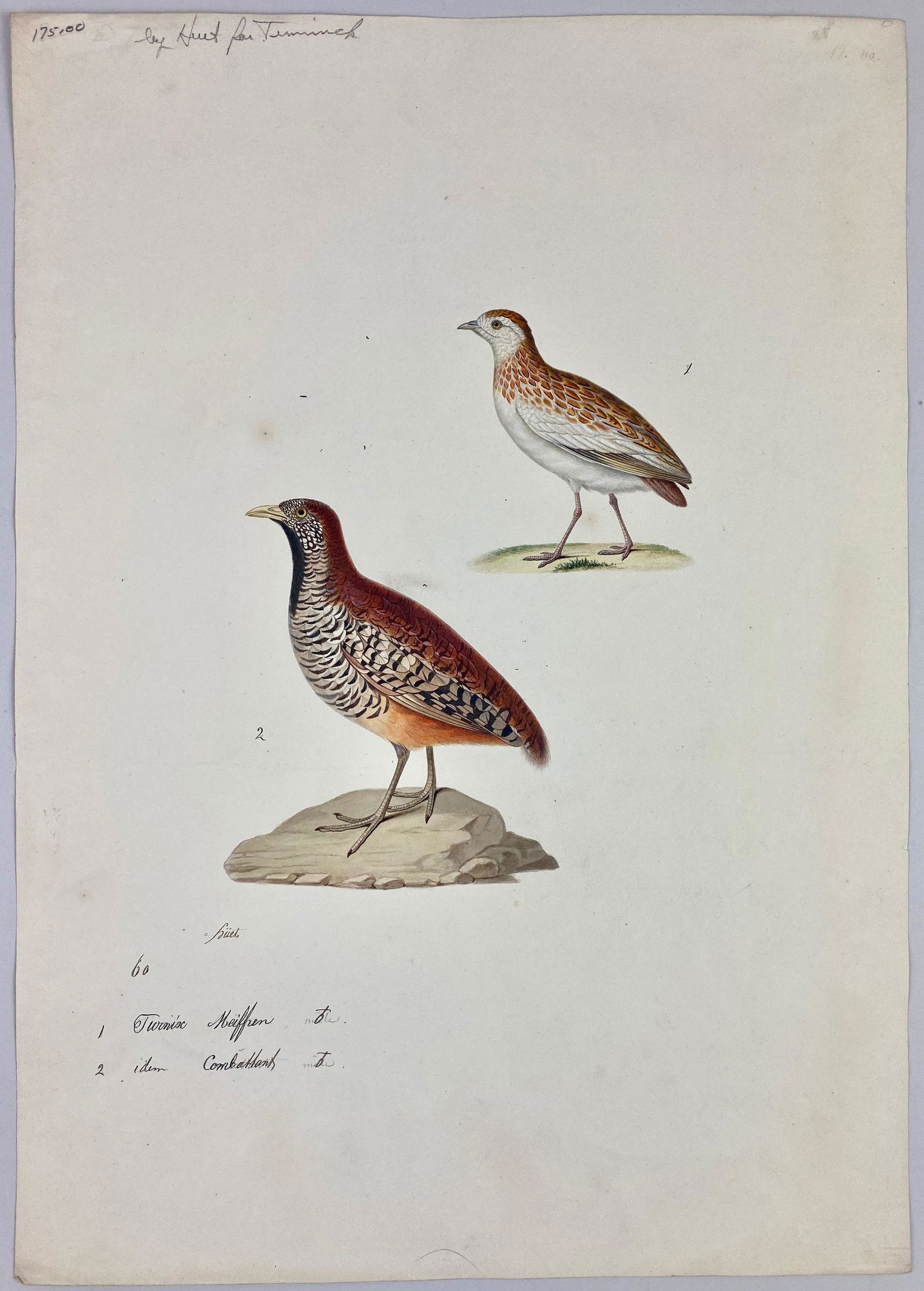 Nicolas Huet the Younger, Pair of Original Drawnings (1 of 12)