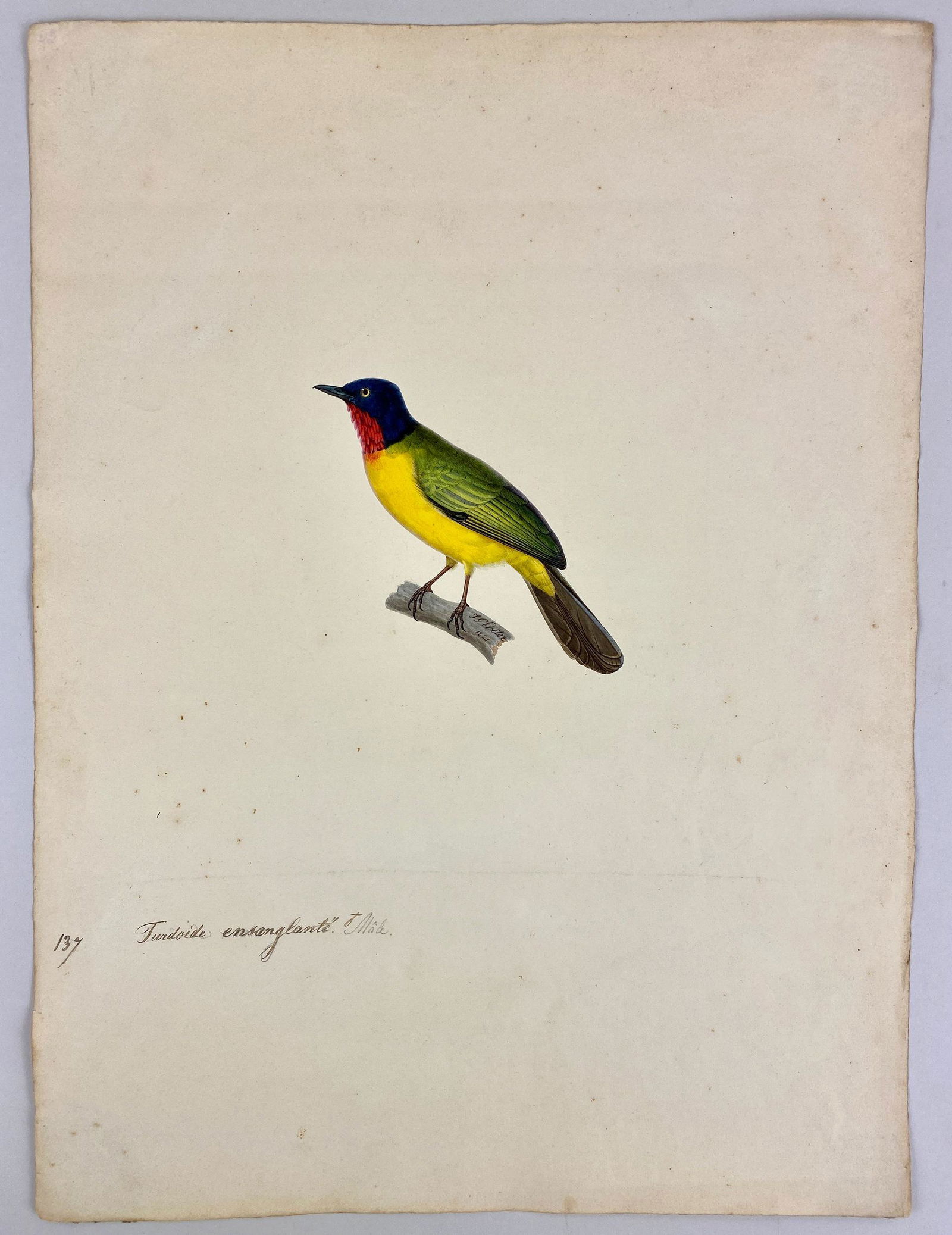 Pair of Original Wildlife Drawings by Jean Gabriel Pretre (1 of 15)