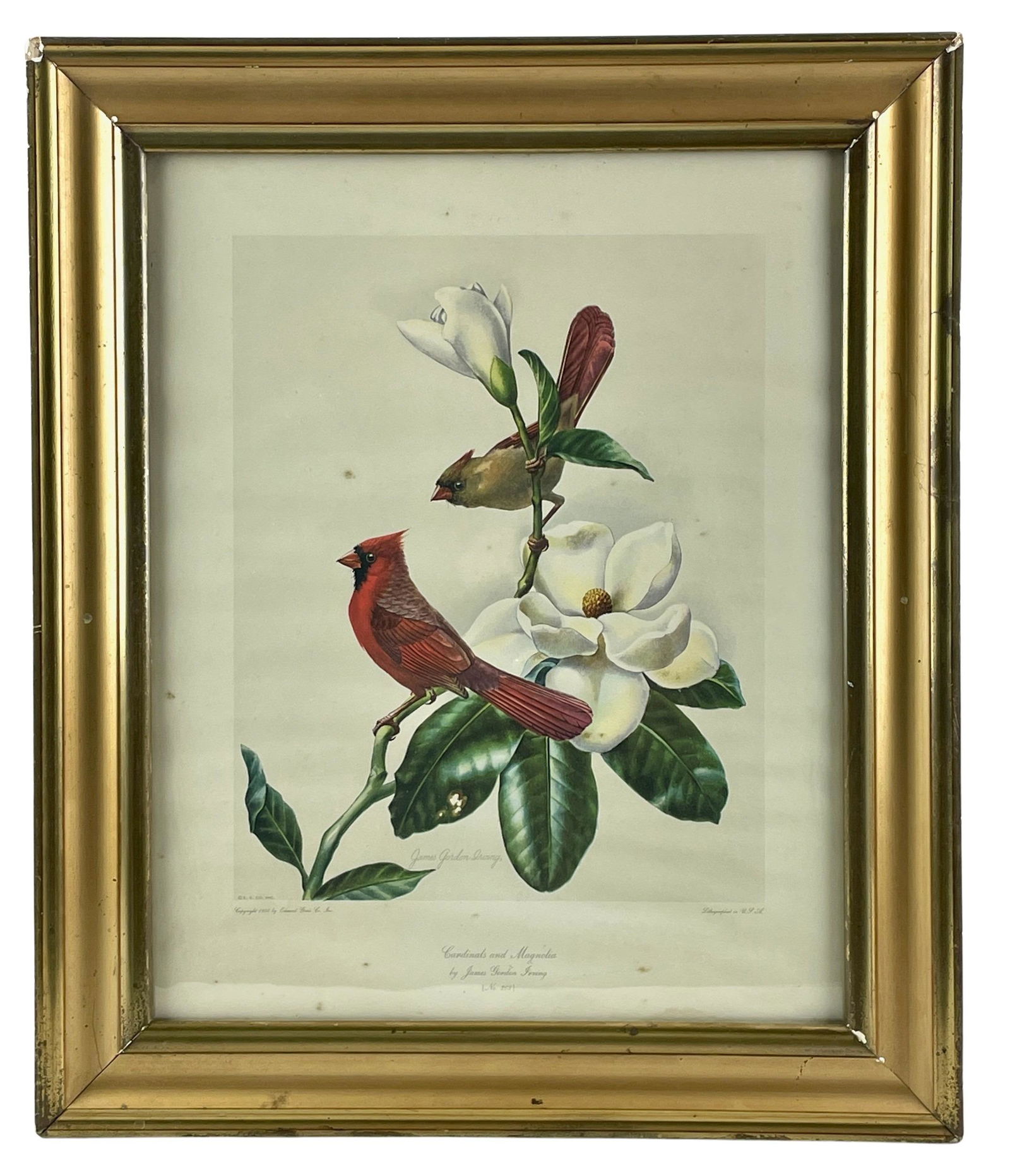 James Gordon Irving Cardinal Lithograph (1 of 3)