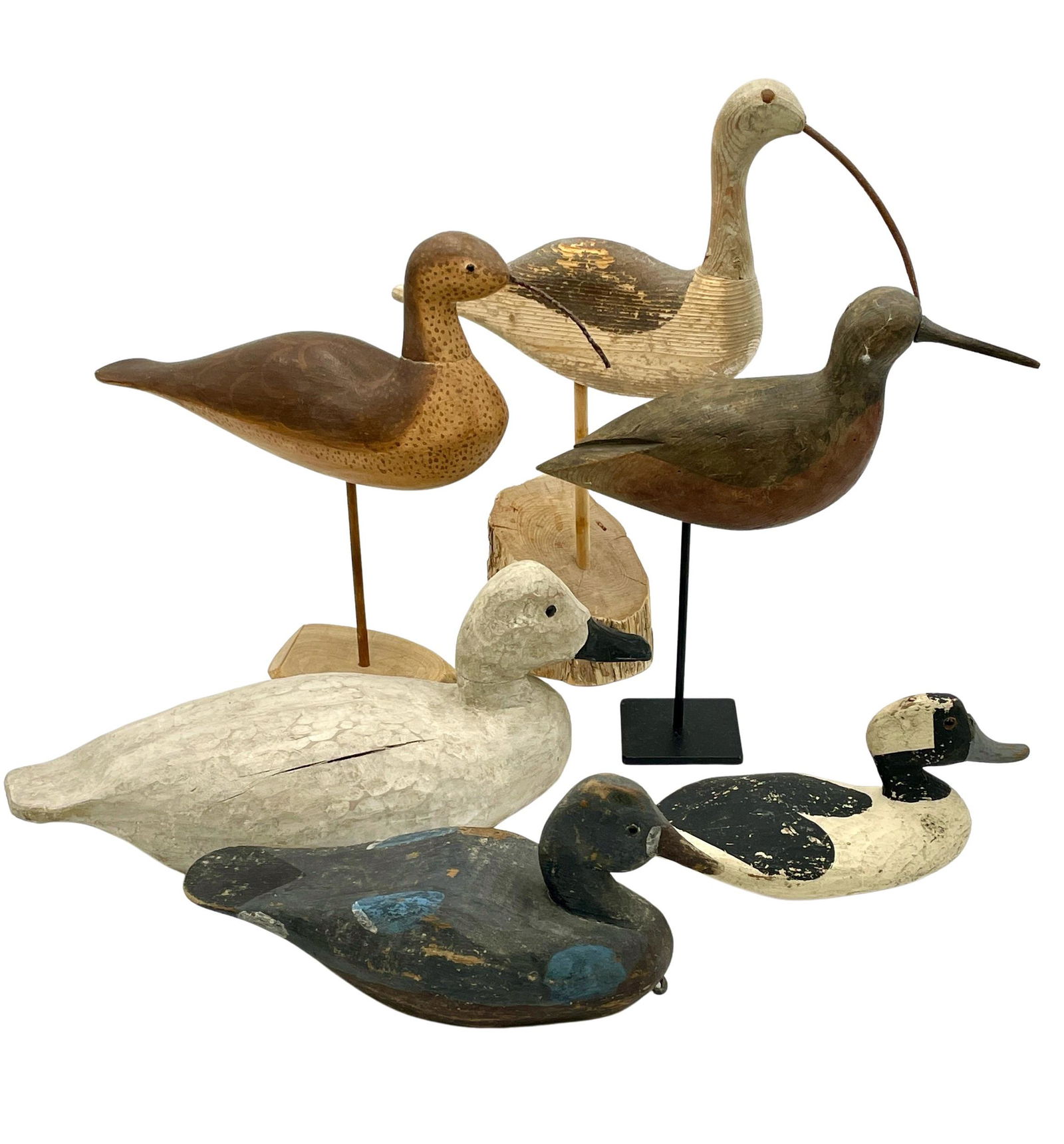 Selection of Shorebirds and Decoys (1 of 6)