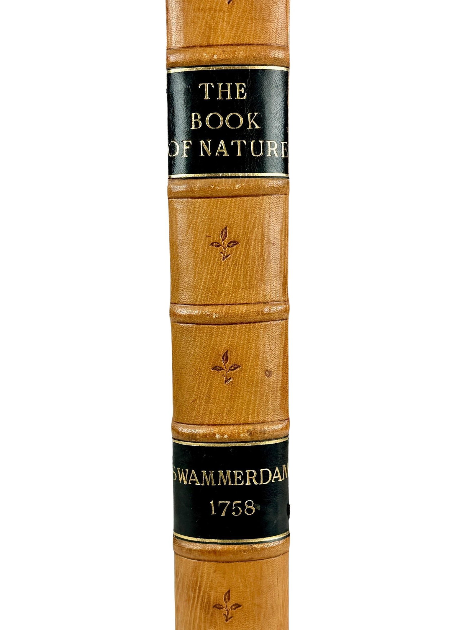 The Book of Nature by Jan Swammerdam: SWAMMERDAM, Jan (1637-1680). The Book of Nature; or, The History of Insects: Reduced to Distinct Classes, Confirmed by Particular Instances, Displayed in the Anatomical Analysis of Many Species.... Lo