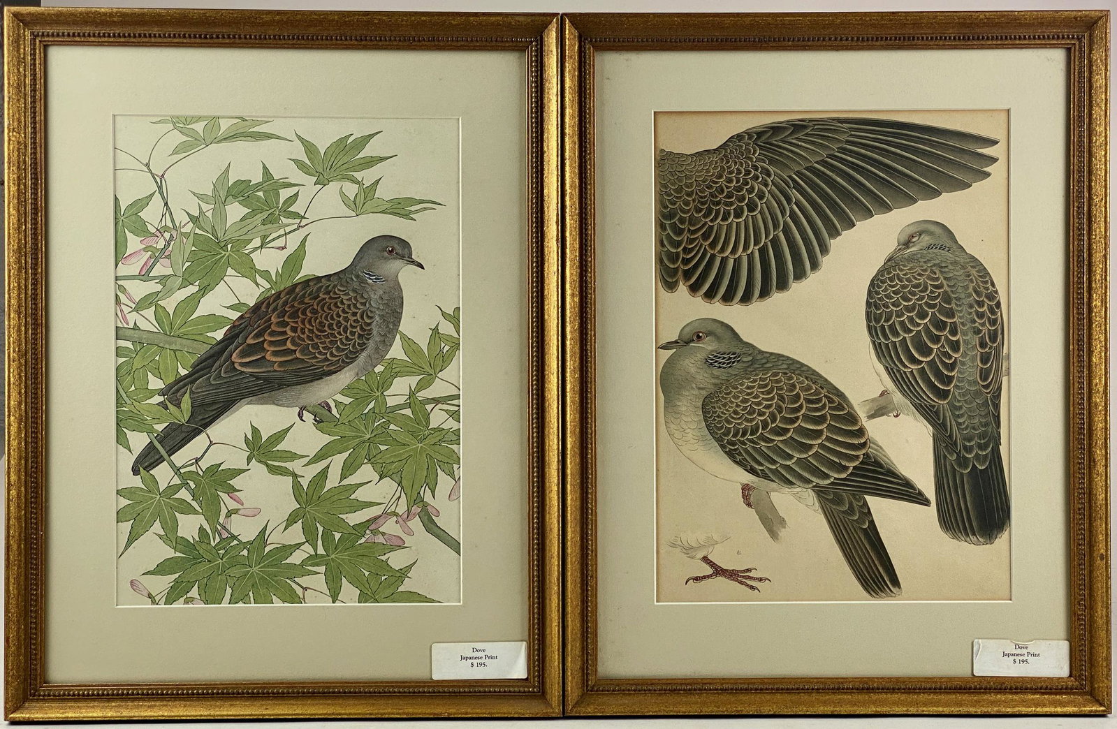 Pair of Framed Japanese Dove Prints: Both print depict the dove, both framed. Framed size of both" 19" ht. x 15" wd. From the estate and lifelong collection of William Garrett Hodges (1946-2014). Hodges